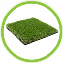 Rumput Taman Rumput Taman