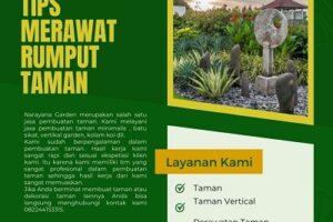 Tips Merawat Rumput Taman