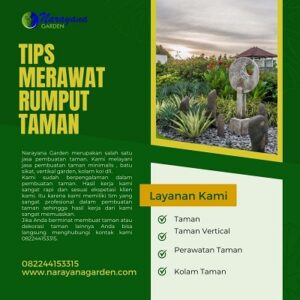 Tips Merawat Rumput Taman