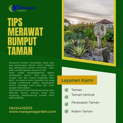 Tips Merawat Rumput Taman